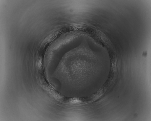 X0000111640610200907311254