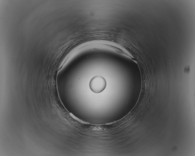 X0000111640611200907311254