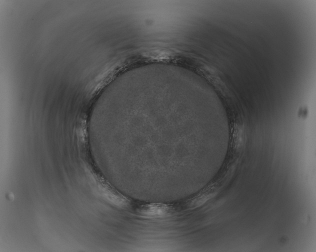 X0000111640612200907311254