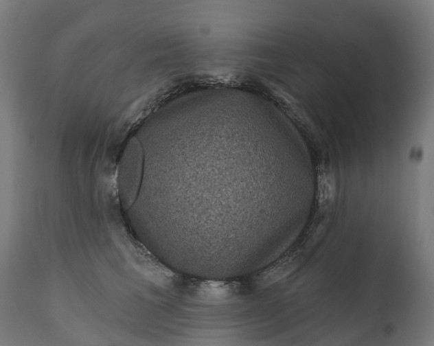 X0000111640613200907311254