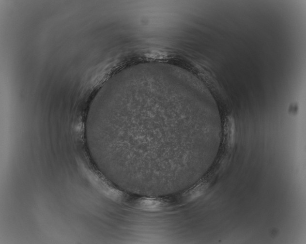 X0000111640614200907311254