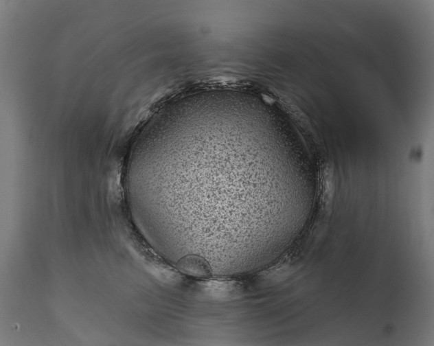 X0000111640615200907311254