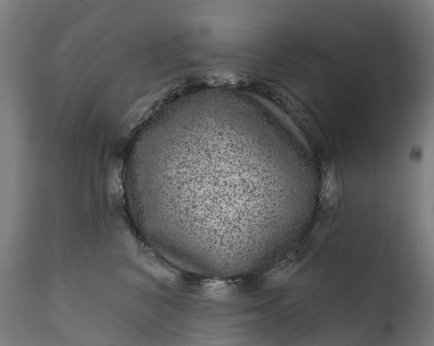 X0000111640616200907311254