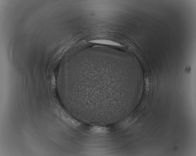 X0000111640617200907311254