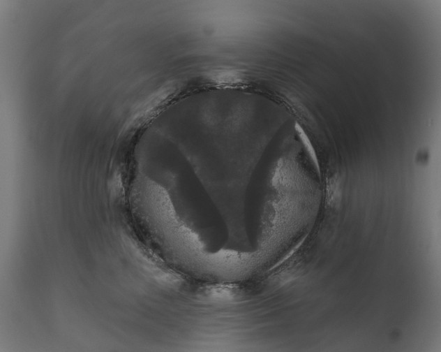 X0000111640618200907311254