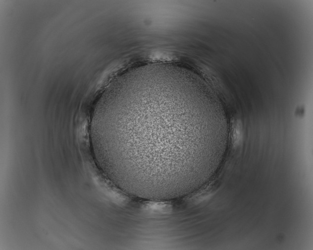 X0000111640619200907311253