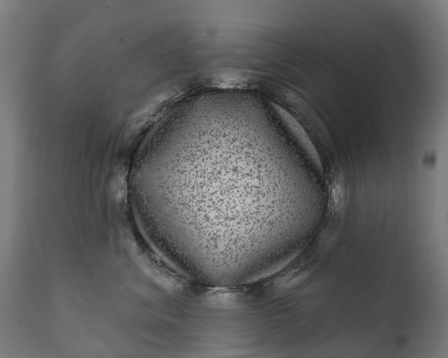 X0000111640620200907311253