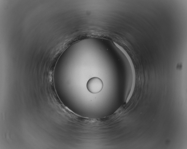 X0000111640621200907311253