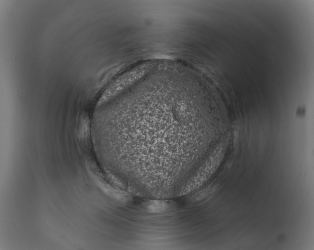 X0000111640623200907311253