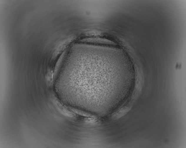 X0000111640624200907311253