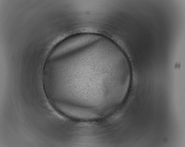 X0000111640625200907311253