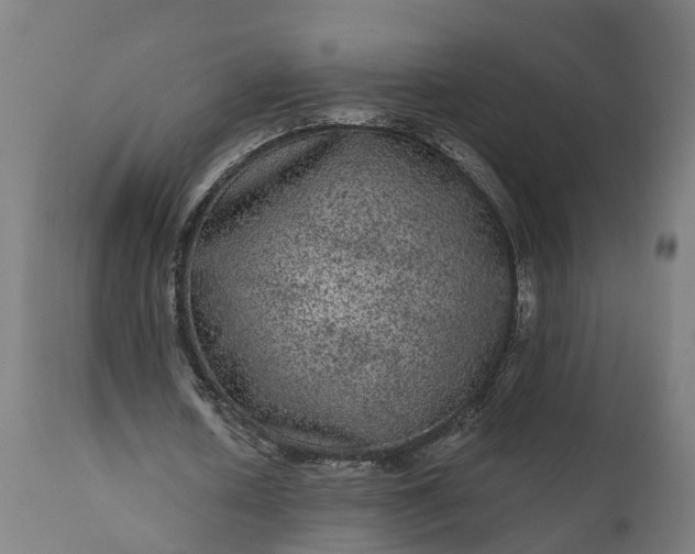 X0000111640626200907311253