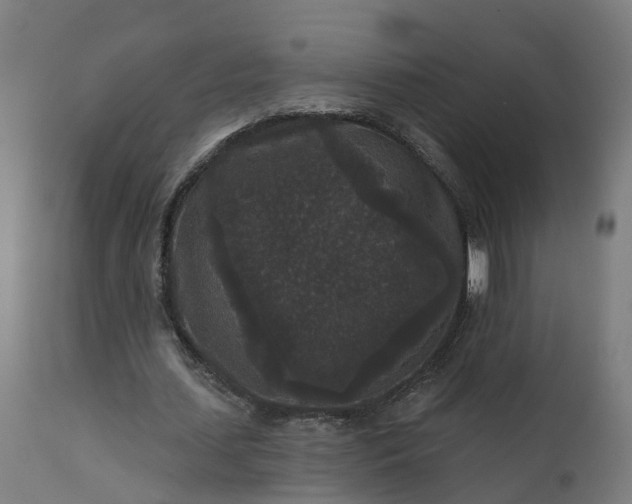 X0000111640627200907311253