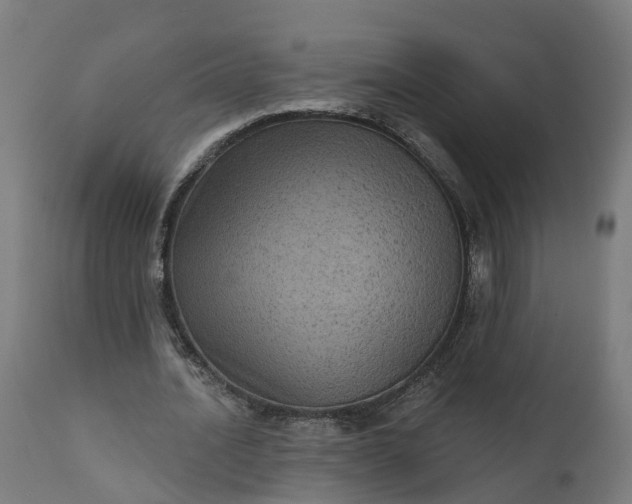 X0000111640628200907311253