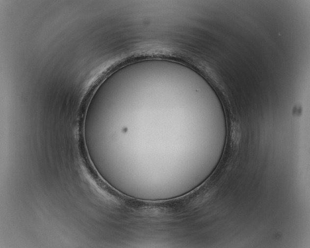 X0000111640629200907311253