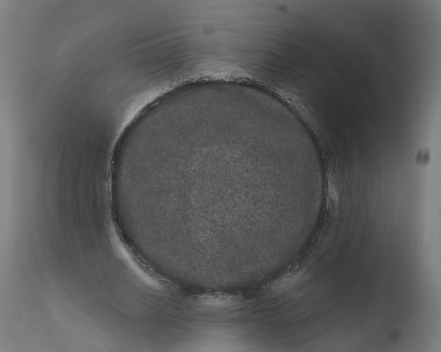 X0000111640630200907311253