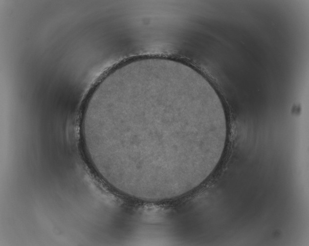 X0000111640632200907311253