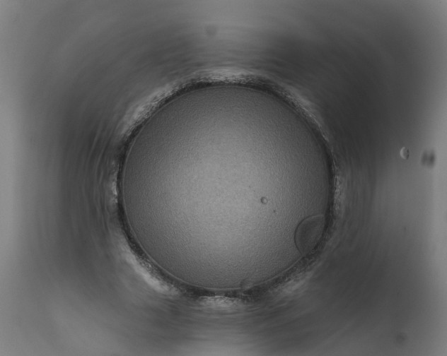 X0000111640633200907311253