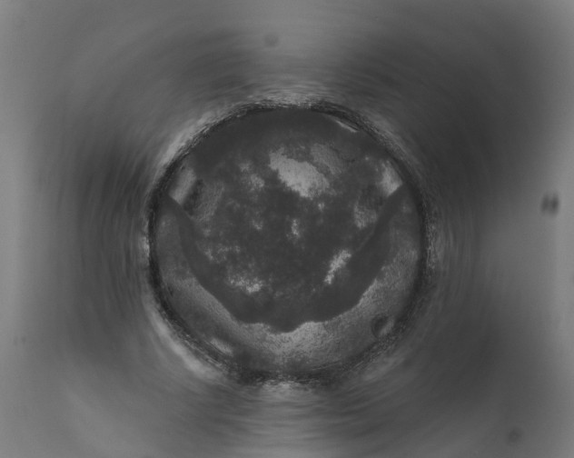 X0000111640634200907311253