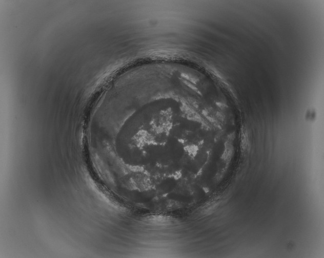 X0000111640637200907311253