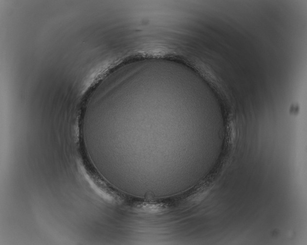 X0000111640638200907311253