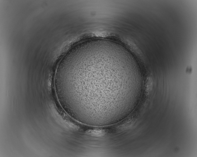 X0000111640639200907311253