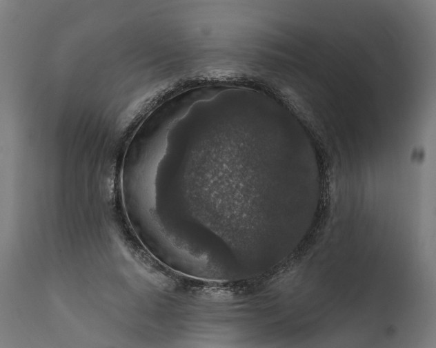 X0000111640640200907311253