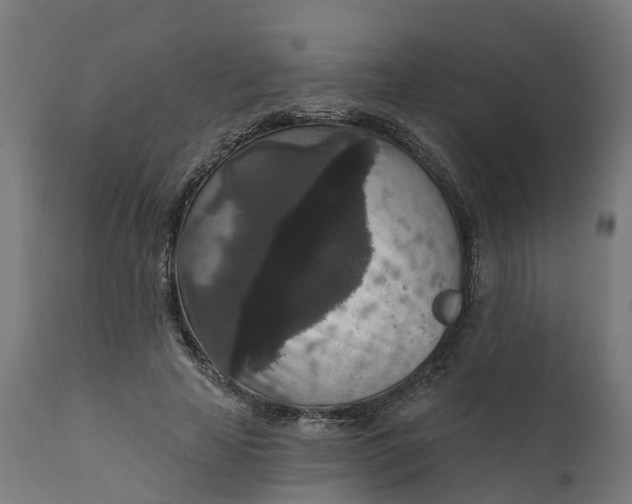 X0000111640641200907311253