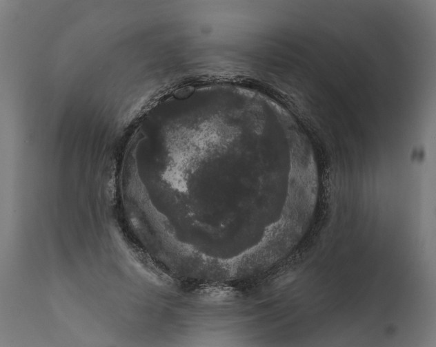 X0000111640642200907311253