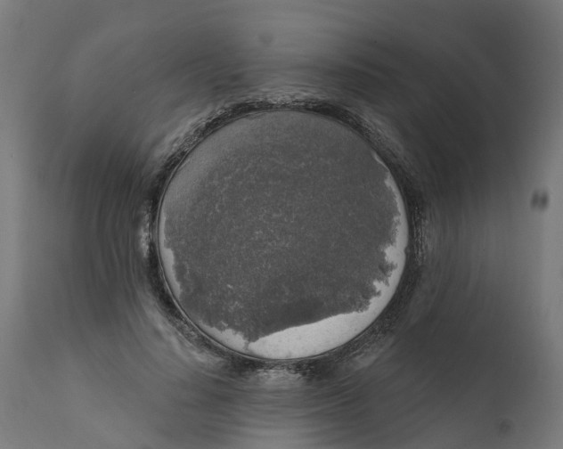 X0000111640644200907311253