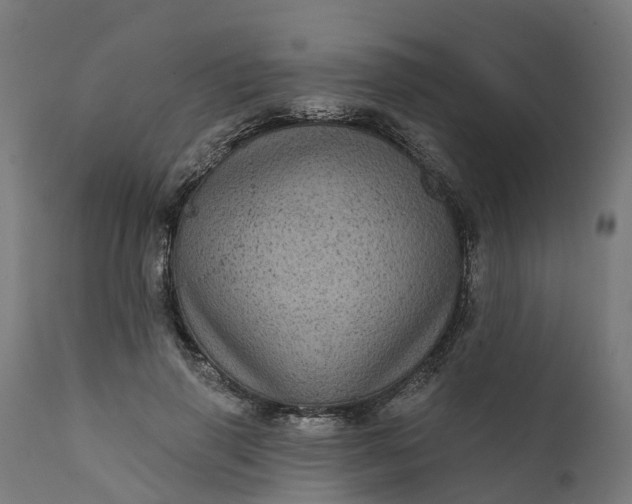 X0000111640645200907311253