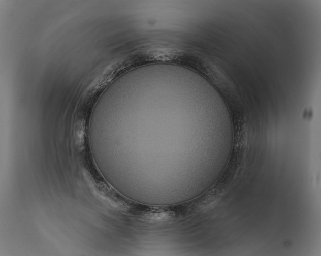 X0000111640646200907311253