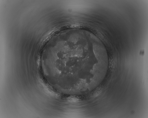 X0000111640648200907311253