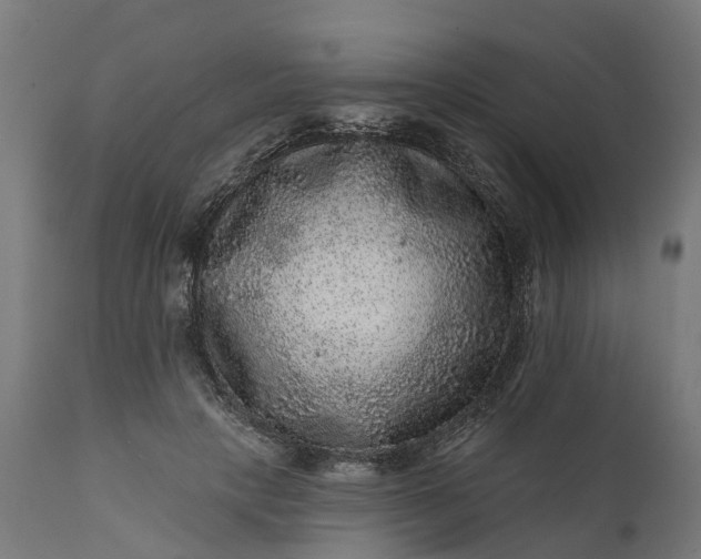 X0000111640649200907311253