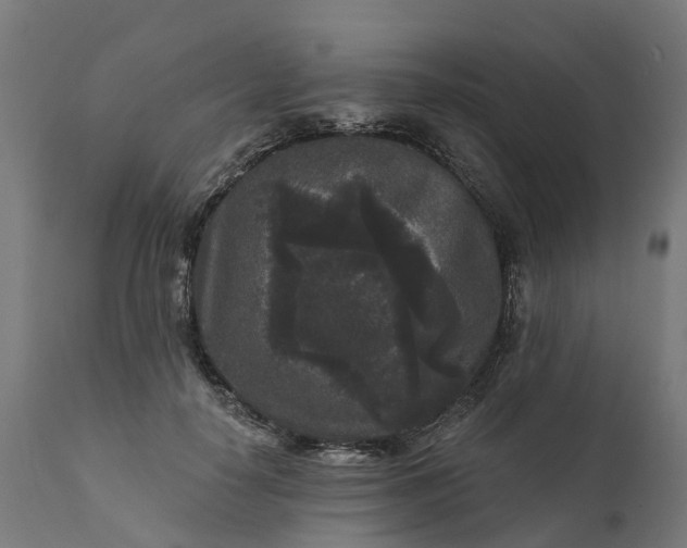 X0000111640650200907311253