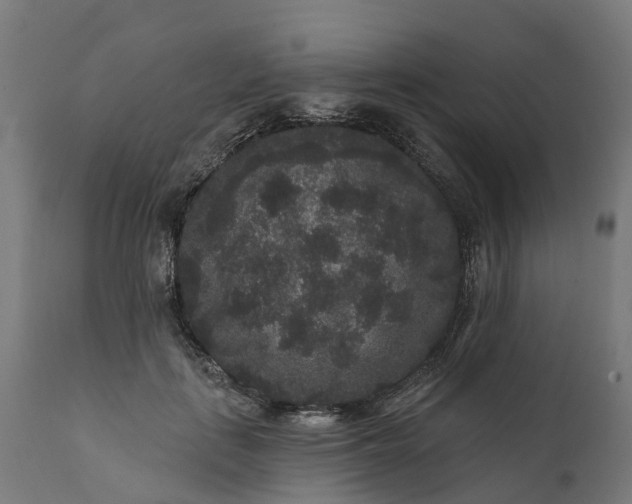 X0000111640651200907311253