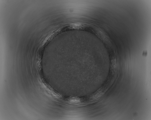 X0000111640653200907311253