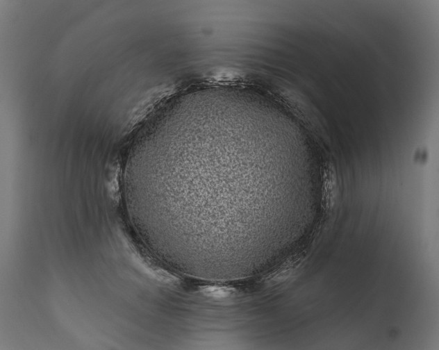 X0000111640654200907311253