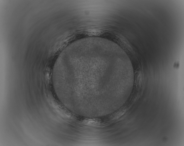 X0000111640655200907311253