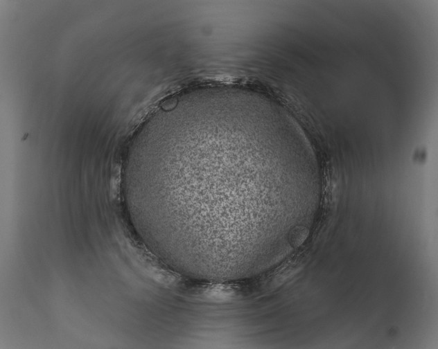 X0000111640656200907311253