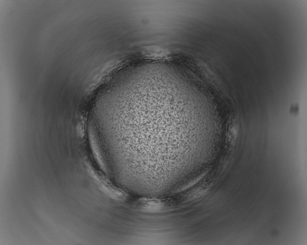 X0000111640658200907311253