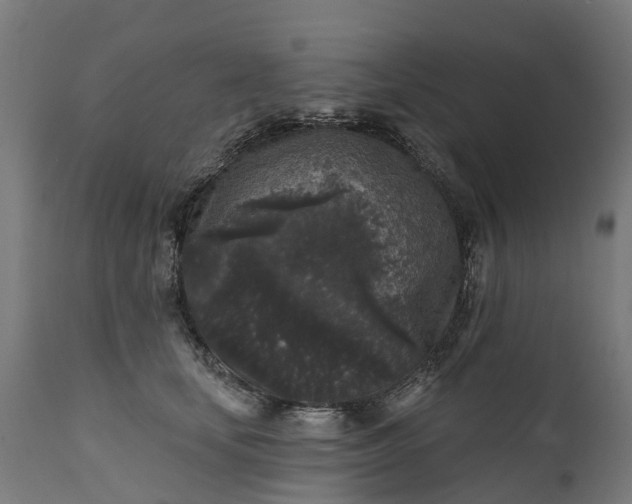 X0000111640659200907311253