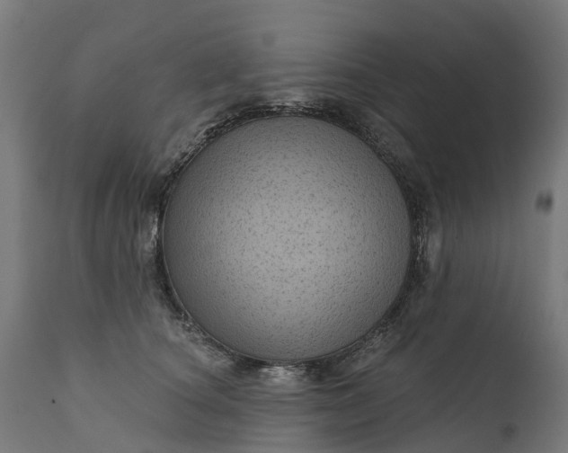 X0000111640660200907311253