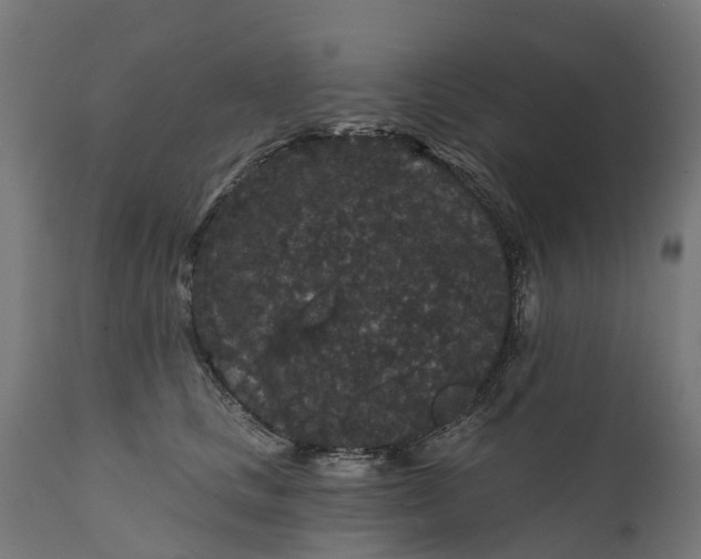 X0000111640661200907311253