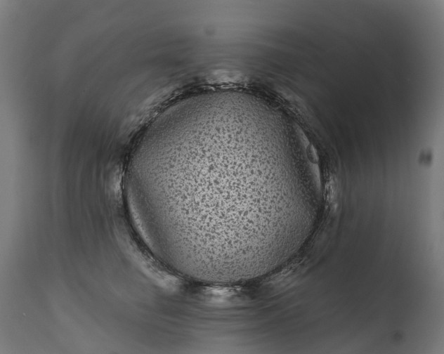 X0000111640662200907311253