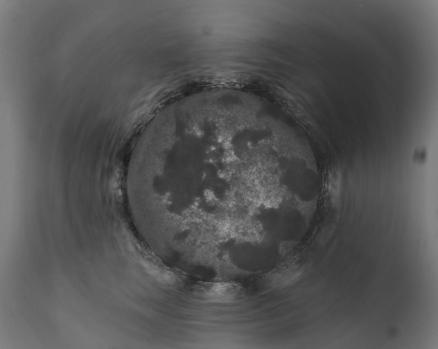 X0000111640663200907311253