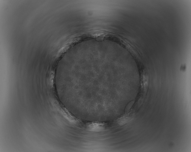 X0000111640664200907311253