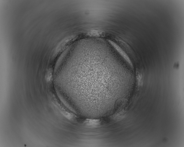 X0000111640665200907311253