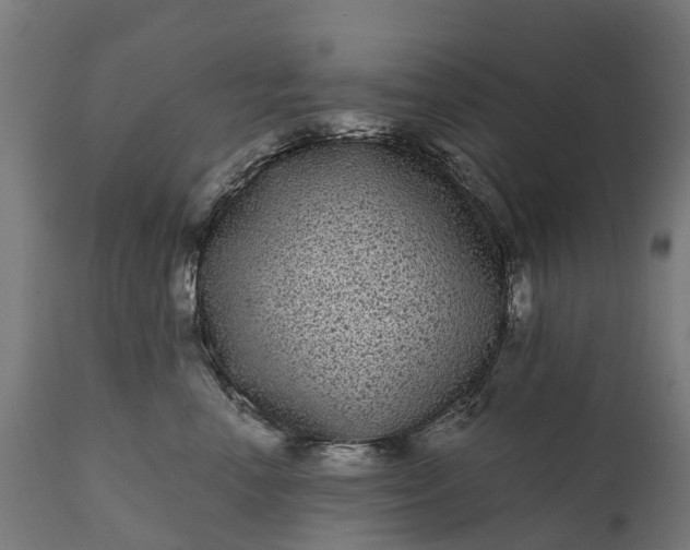 X0000111640666200907311253