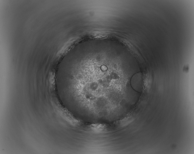 X0000111640667200907311253